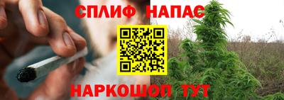 спайс Нальчик