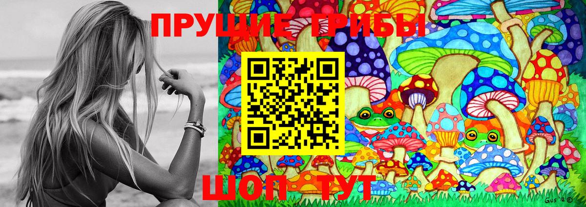Галлюциногенные грибы GOLDEN TEACHER  Псилоцибиновые грибы мухоморы  Родники  Вход с VPN 