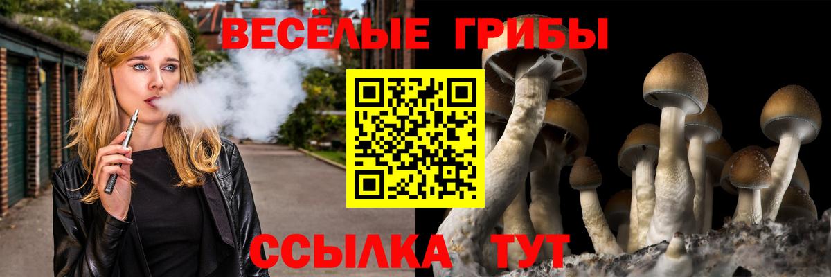 Псилоцибиновые грибы мицелий Родники