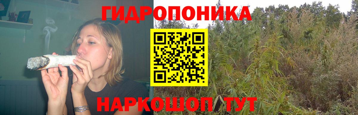 МАРИХУАНА OG Kush Родники